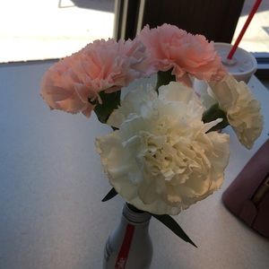 Meet your Posher, Karla